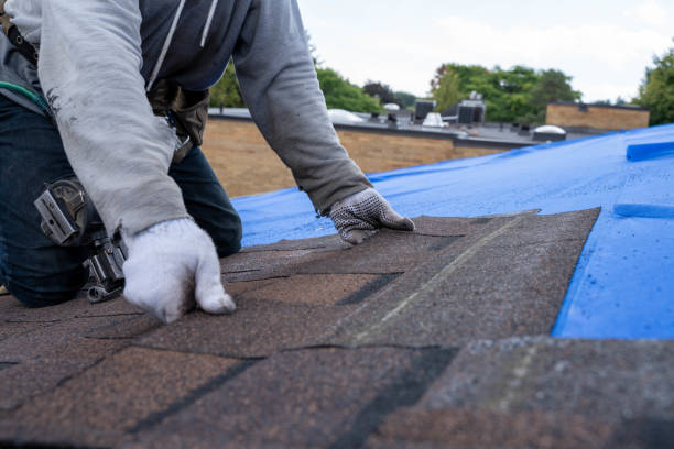 Best Metal Roofing Contractor  in North Vacherie, LA